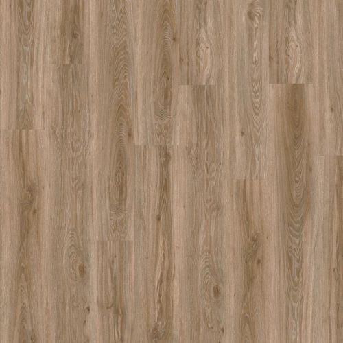 фото Дуб Блэкджек (Blackjack Oak 22229)