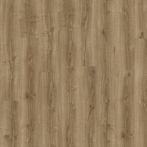 фото Silky Oak 235