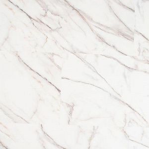 фото Глатт MSA31