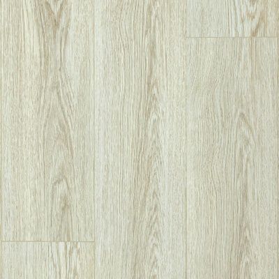 фото винила 80818 Тревизо