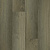 фото Дуб Древний лес