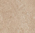 фото линолеума 3141 Himalaya