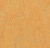 фото линолеума 3847 golden saffron