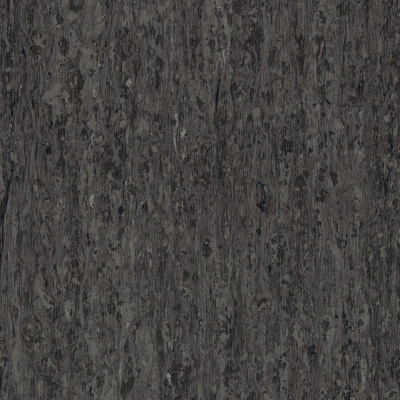 фото линолеума Tarkett 0244 neutral black