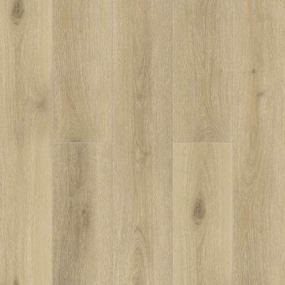 фото винила SOLEM 1022-10