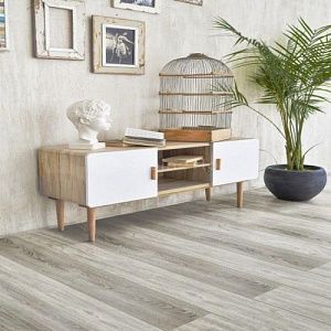 фото Шервудский лес ECO 9-10