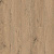 фото BRIT 1022-5