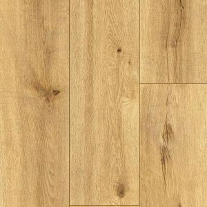 фото MOCOA 62536