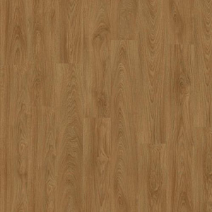 фото Дуб Лавровый (Laurel Oak 51822)