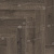 фото Дуб Антарес  ЕСО 13-19
