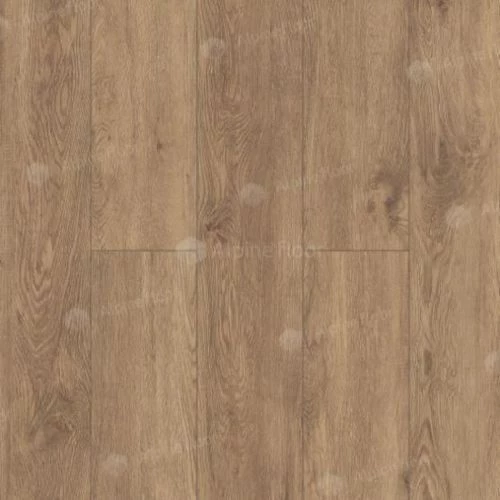 фото Гевуина ECO 11-703