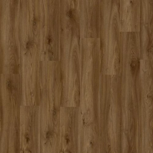 фото Дуб Сьерра (Sierra Oak 58876)