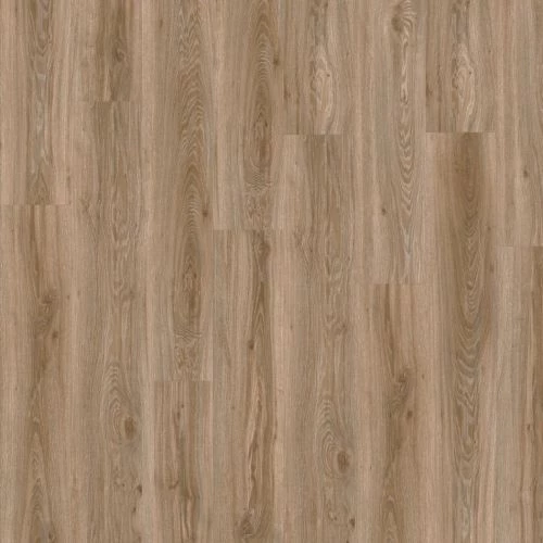 фото Дуб Блэкджек (Blackjack Oak 22229)