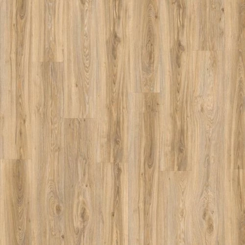 фото Дуб Блэкджек (Blackjack Oak 22220)