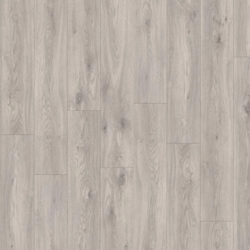 фото Дуб Сьерра (Sierra Oak 58936)
