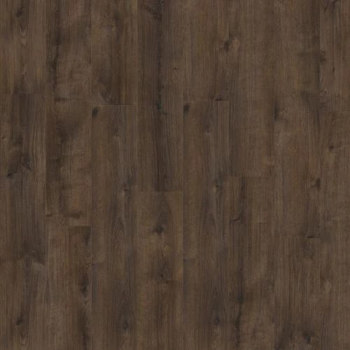фото Дуб Голуэй (Galway Oak 87863)