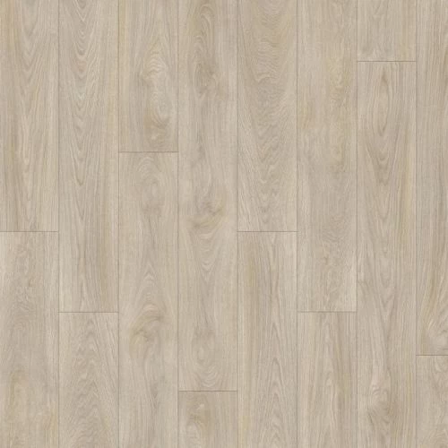 фото Дуб Лавровый (Laurel Oak 51222)