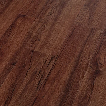 фото WS 8404 Дуб Виннипег