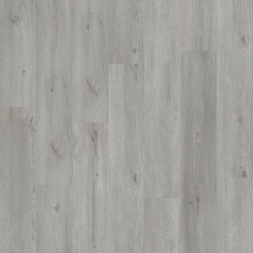 фото Дуб Галтимор (Galtymore Oak 86936)