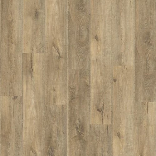 фото Дуб Нашвилл (Nashville Oak 88299)