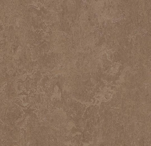 фото линолеума 3254 clay