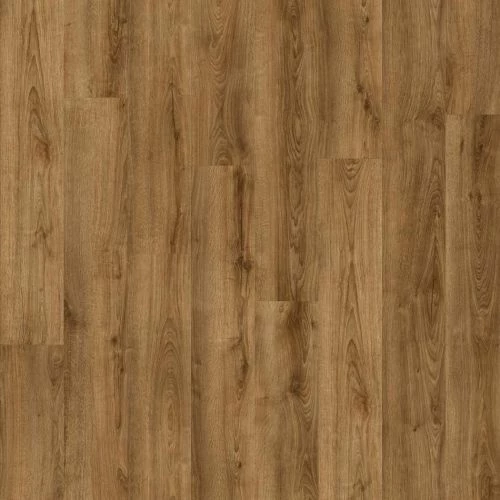 фото Shelby Oak 853