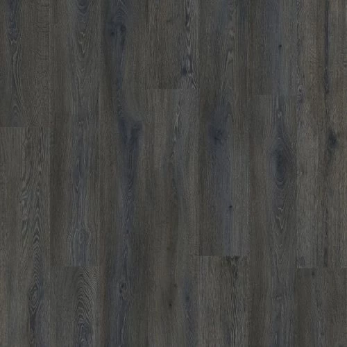 фото Дуб Галтимор (Galtymore Oak 86972)