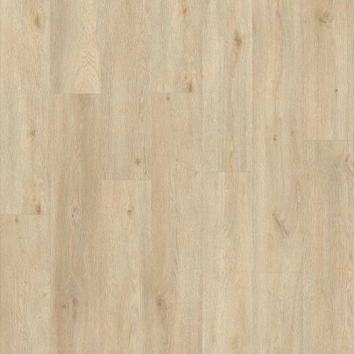 фото Дуб Галтимор (Galtymore Oak 86237)